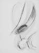 _disegno11_small.jpg