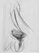 _disegno7_small.jpg