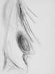 _disegno8_small.jpg