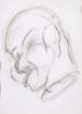 _disegno_small.jpg